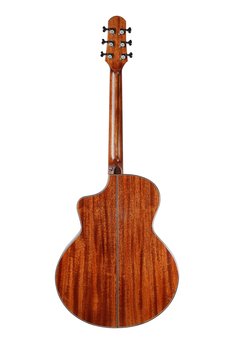 ギター cat DSC04829_1200x1200.png?v=