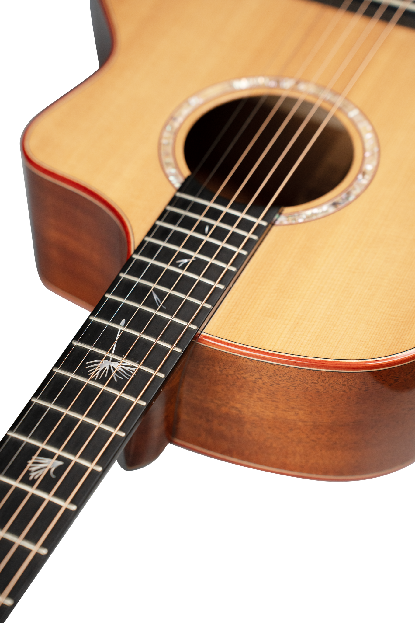 JC4 – Natasha Guitars JC4 – Natasha Guitars